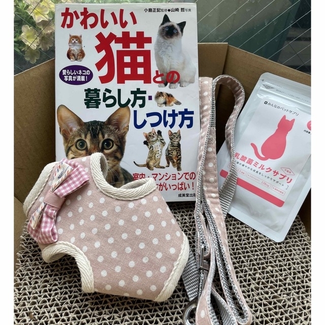 仔猫お迎えセット　服　リード　ミルクサプリ　本　かわいい猫との暮らし方・しつけ方 エンタメ/ホビーの本(住まい/暮らし/子育て)の商品写真