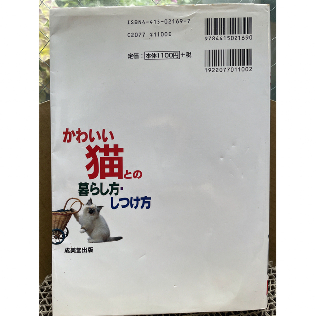 仔猫お迎えセット　服　リード　ミルクサプリ　本　かわいい猫との暮らし方・しつけ方 エンタメ/ホビーの本(住まい/暮らし/子育て)の商品写真