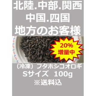 北陸中部関西中国四国地方の方　冷凍コオロギ 120ｇSサイズ フタホシコオロギ(爬虫類/両生類用品)