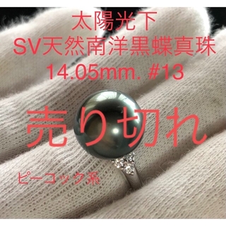 SV天然南洋黒蝶真珠　大珠丸系リング　14.05mm #13(リング(指輪))