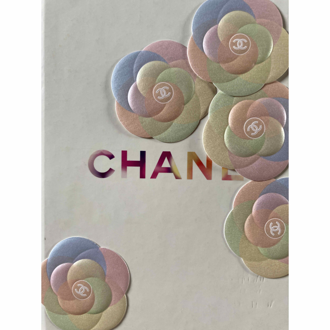 CHANEL - CHANEL💝Gift Box💝Xmas限定💝ホリデー ショッパーの