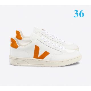 ヴェジャ(VEJA)の新品　未使用VEJAヴェジャ V12レザー　スニーカー  EUR36 23cm (スニーカー)