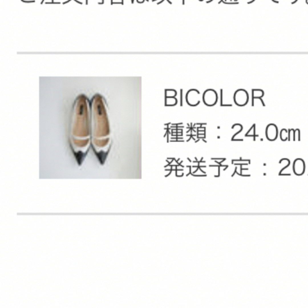 OHGA オーガ フラットパンプス | electricasanmiguel.com.mx