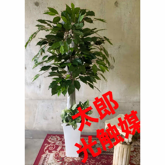 多肉植物光触媒　人工観葉植物　ウォールグリーン　フェイクグリーン　ベンジャミン135