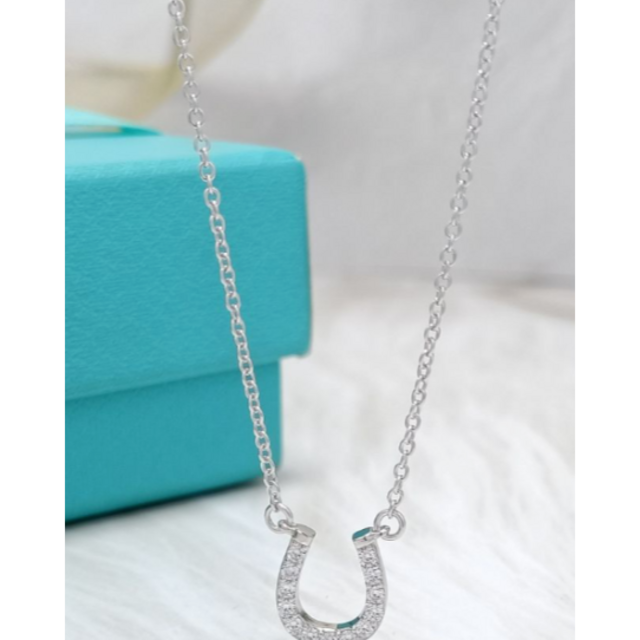 ティファニー TIFFANY&Co. U字型 ネックレス | www.ibnuumar.sch.id