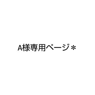 A様専用ページ＊ランチョンマット4(その他)