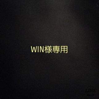 WIN様専用 ステッカーＢ(その他)