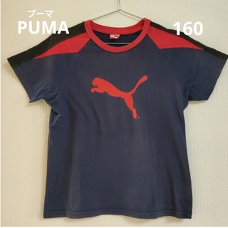 プーマ(PUMA)の【PUMA プーマ】半袖　Tシャツ　160(Tシャツ/カットソー)