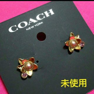 コーチ(COACH)の【未使用】COACH  ワイルドフラワー スタッド ピアス(ピアス)