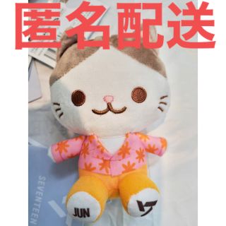 履き心地◎ セブチ seventeen アスクプス ぬいぐるみ