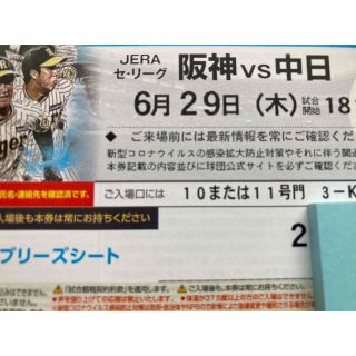 ハンシンタイガース(阪神タイガース)の6/29(木 )阪神-中日　ブリーズシート通路横ペア(野球)