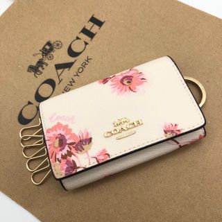 COACH コーチ 日本限定 6リング キーケース フラワー チョークマルチ