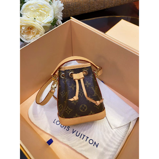 LOUIS VUITTON - レア ルイヴィトン ビジューサック マイクロノエ