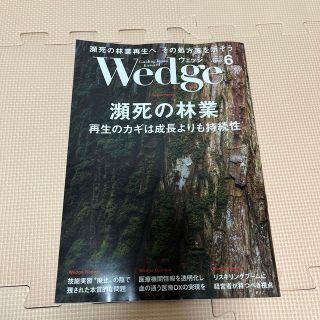 ジェイアール(JR)のWedge(ウェッジ) 2023年 06月号(ビジネス/経済/投資)