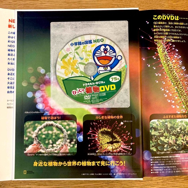 小学館の図鑑 植物 星と星座 危険生物 冊セットの通販 by