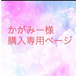 フレークシール 購入専用ページの通販 by Rio's shop|ラクマ フレークシール購入専用ページ