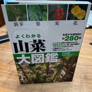 よくわかる山菜大図鑑 新芽・葉・実・花(趣味/スポーツ/実用)