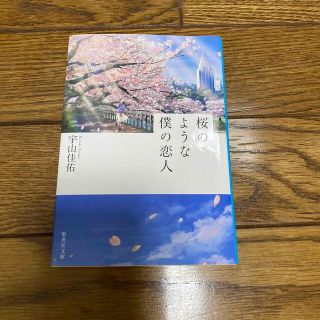 シュウエイシャ(集英社)の桜のような僕の恋人(文学/小説)