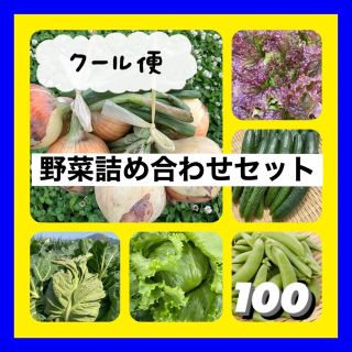 ★クール便で安心お届け★新鮮野菜詰め合わせセット‼️(野菜)