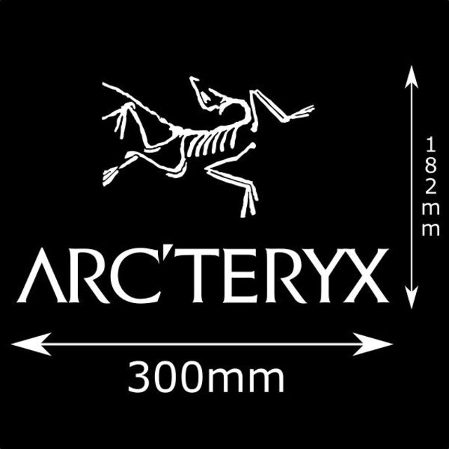 ARC'TERYX(アークテリクス)のアークテリクス ステッカー カッティングシート　大 スポーツ/アウトドアのスポーツ/アウトドア その他(その他)の商品写真