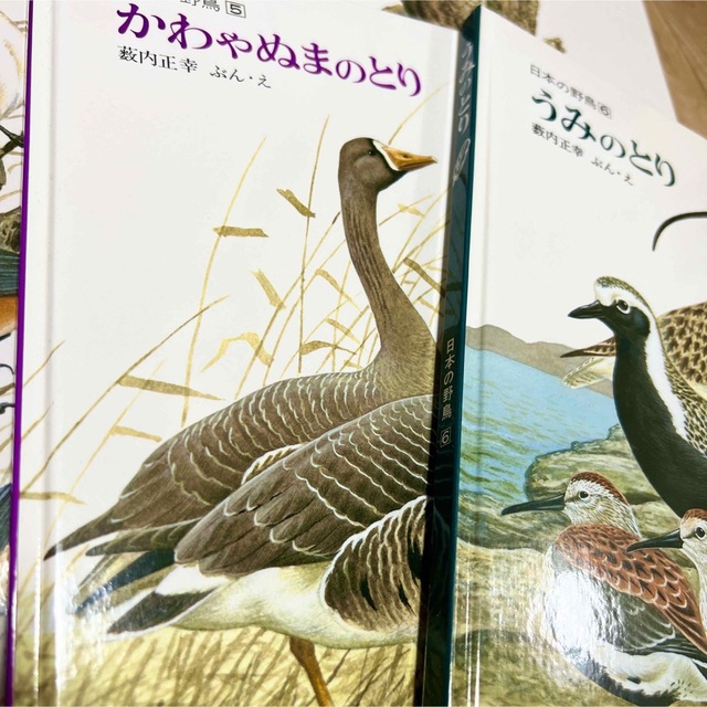 日本の野鳥 シリーズ 薮内正幸 ハードカバー 福音館書店 エンタメ/ホビーの本(絵本/児童書)の商品写真