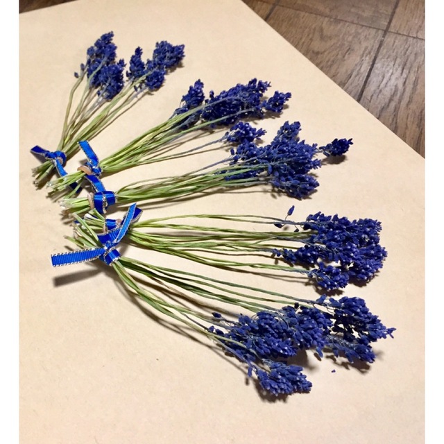 100円お値引きセール‼️f 銀の紫陽花が作った青く美しいムスカリ50本‼️ ハンドメイドのフラワー/ガーデン(ドライフラワー)の商品写真