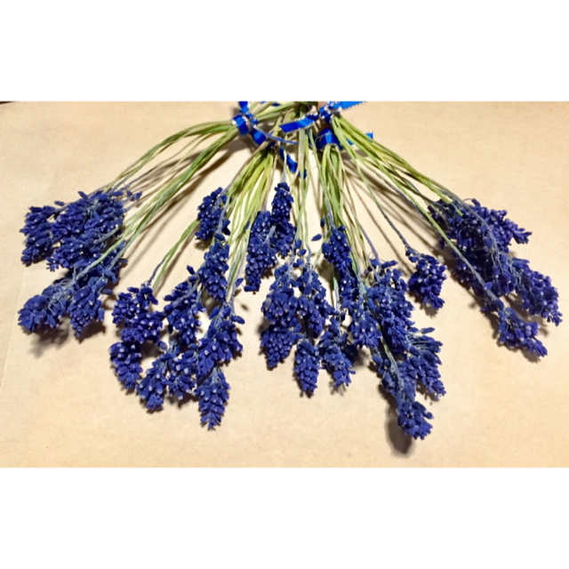 100円お値引きセール‼️f 銀の紫陽花が作った青く美しいムスカリ50本‼️ ハンドメイドのフラワー/ガーデン(ドライフラワー)の商品写真