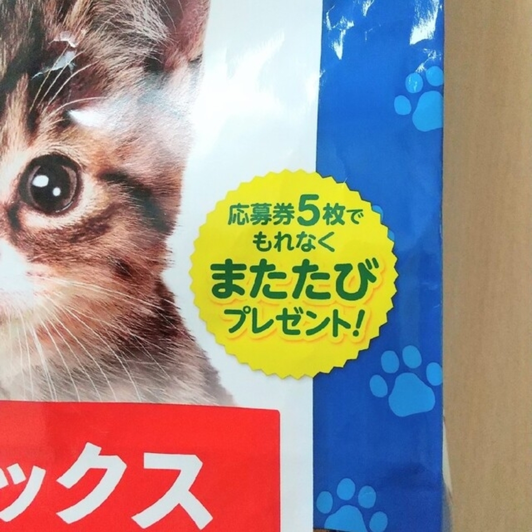 応募券 またたびプレゼント ※ 説明必読 2口分 その他のペット用品(猫)の商品写真