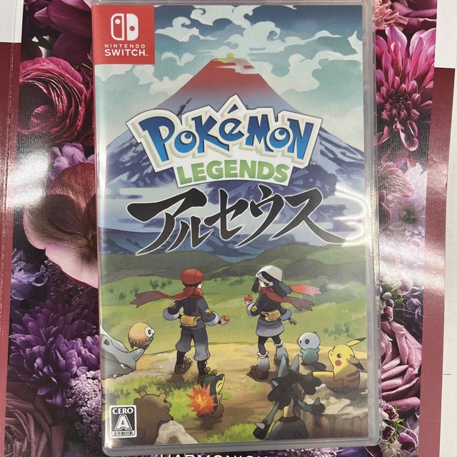 任天堂(ニンテンドウ)のPokemon LEGENDS アルセウス Switch エンタメ/ホビーのゲームソフト/ゲーム機本体(家庭用ゲームソフト)の商品写真