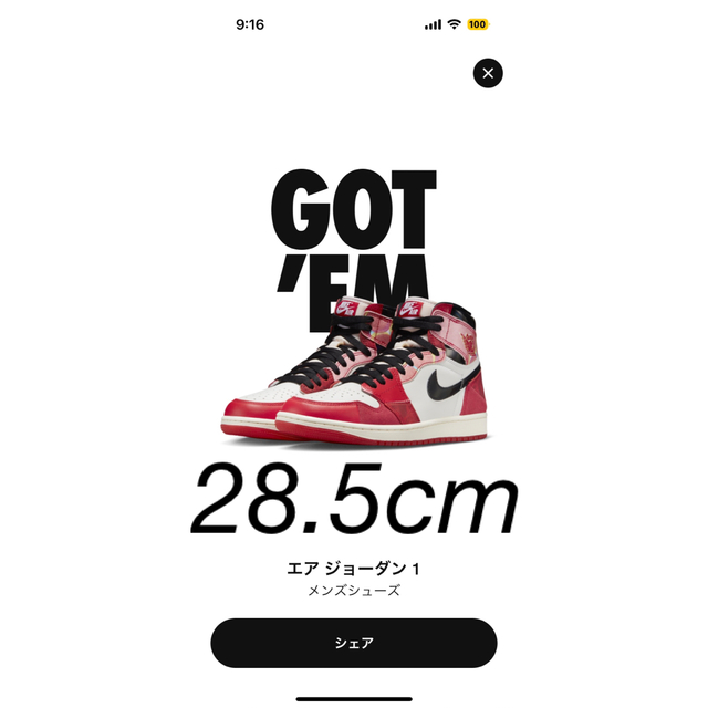 Nike Air Jordan1 High OG SP Next Chapter