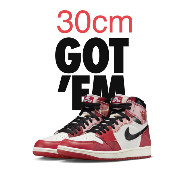 Jordan Brand(NIKE) - nike air jordan 1 next chapter