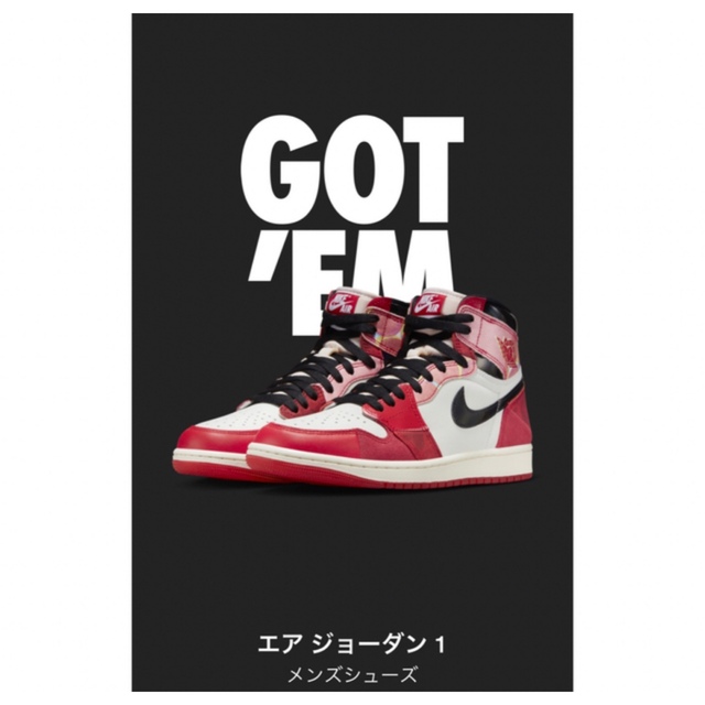 AIR JORDAN エアジョーダン1 NEXT CHAPTER 28.5cm