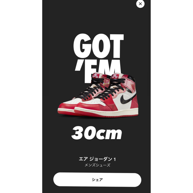 AIR JORDAN エアジョーダン1 NEXT CHAPTER 30cm