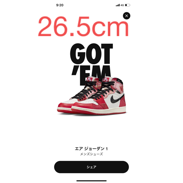 NIKE AIR JORDAN1 Next Chapter 26.5 スパイダー