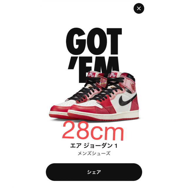Nike Air Jordan1 High OG SP Next Chapter39s28㎝
