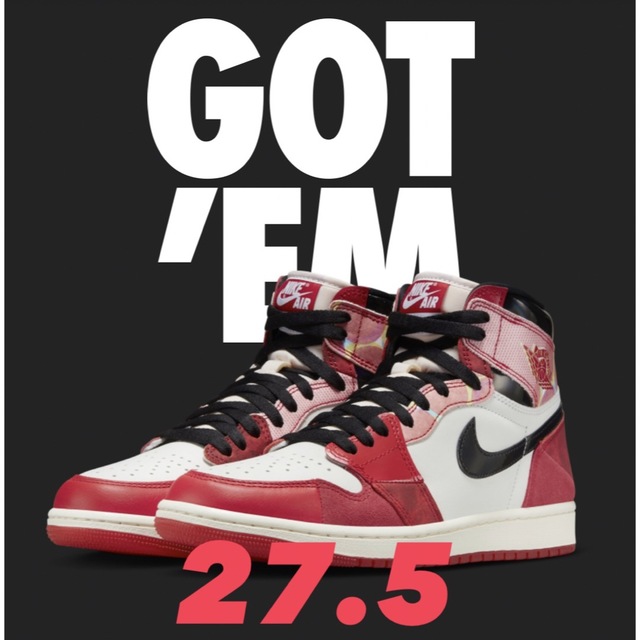 Nike Air Jordan 1  Next Chapter 27.5cmNIKE