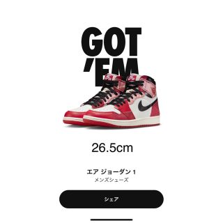 ジョーダン(Jordan Brand（NIKE）)のcoir 様専用　エアジョーダン1 NEXT CHAPTER(スニーカー)