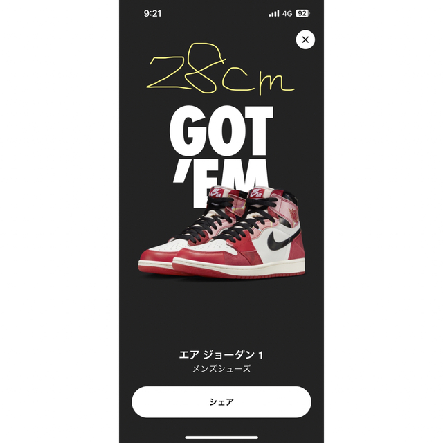 Jordan Brand（NIKE）(ジョーダン)のNIKE AIR JORDAN 1 Next Chapter メンズの靴/シューズ(スニーカー)の商品写真