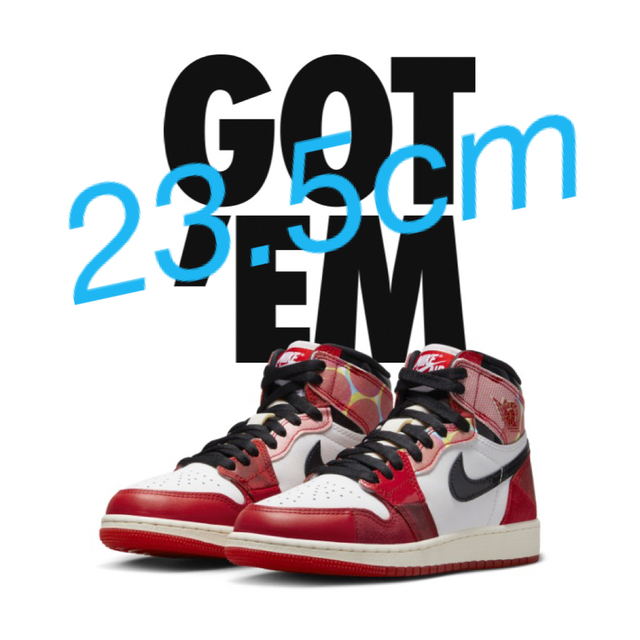 靴/シューズNike GS Air Jordan 1 Hi Next Chapter