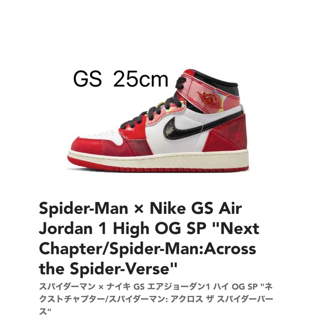 エアジョーダン1 next chapter GS  25cm