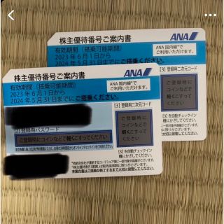 エーエヌエー(ゼンニッポンクウユ)(ANA(全日本空輸))のANA 株主優待 2枚セット(その他)