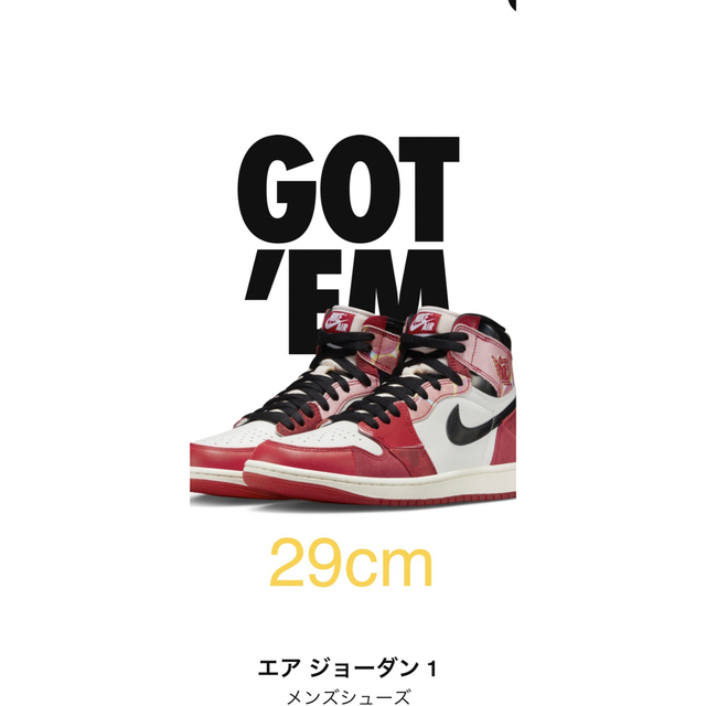 Nike Air Jordan 1 High OG SP 29cmエアージョーダン1