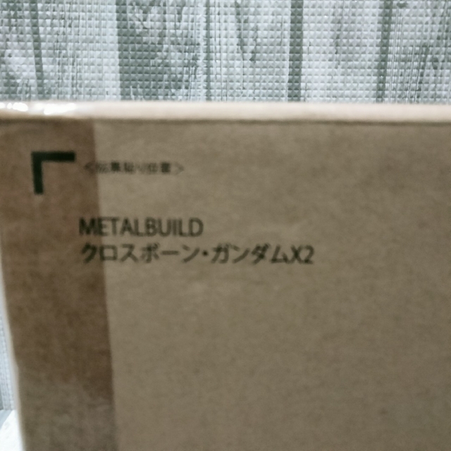 METAL BUILDクロスボーン・ガンダムX2