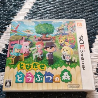 ニンテンドー3DS(ニンテンドー3DS)のとびだせ どうぶつの森 3DS(その他)