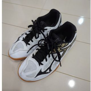 ミズノ(MIZUNO)のミズノ サンダーブレード３ （ジュニア 24.5cm）(バレーボール)