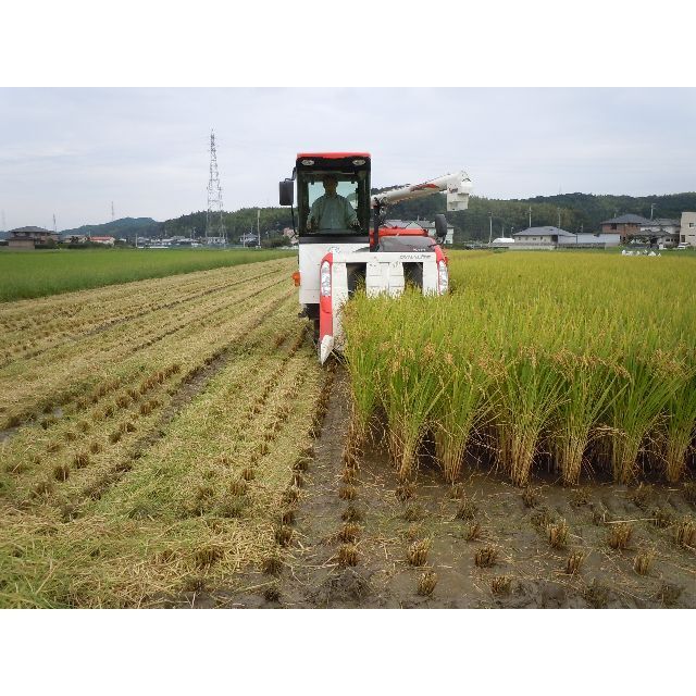 玄米24kg(8㎏×3)令和4年産新米ミルキークイーン 精米・分搗き精米対応