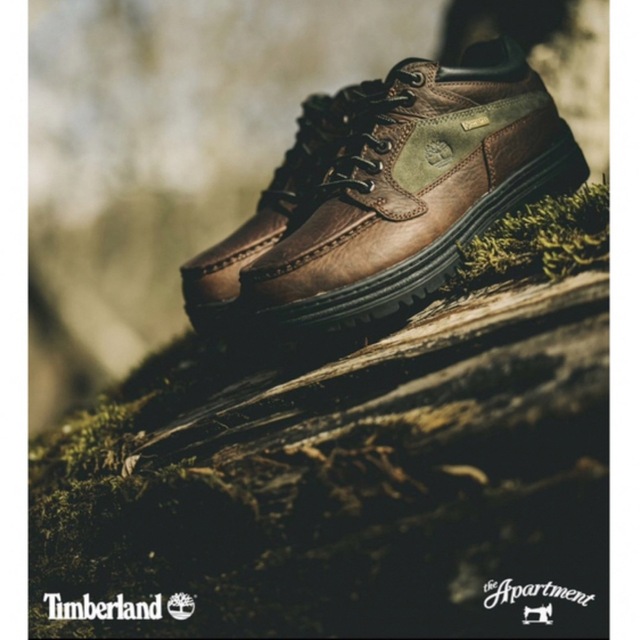 the apartment Timberland GTX MOC TOE MID-