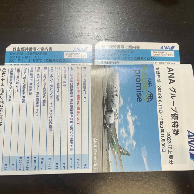 乗車券/交通券ANA 株主優待