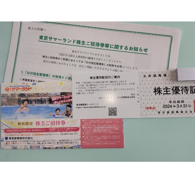 東京サマーランド 株主ご招待券 8枚x 3セット-