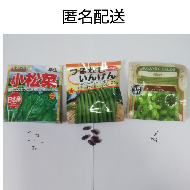 野菜の種 3種類 各10粒 ハンドメイドのフラワー/ガーデン(その他)の商品写真